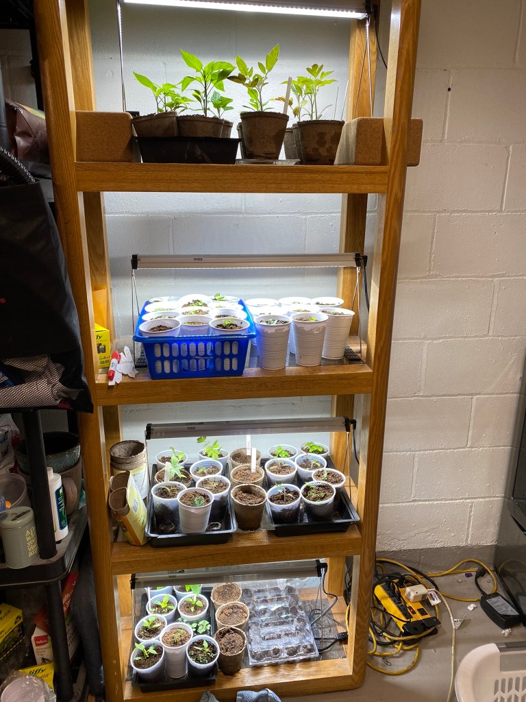 Basement grow lights