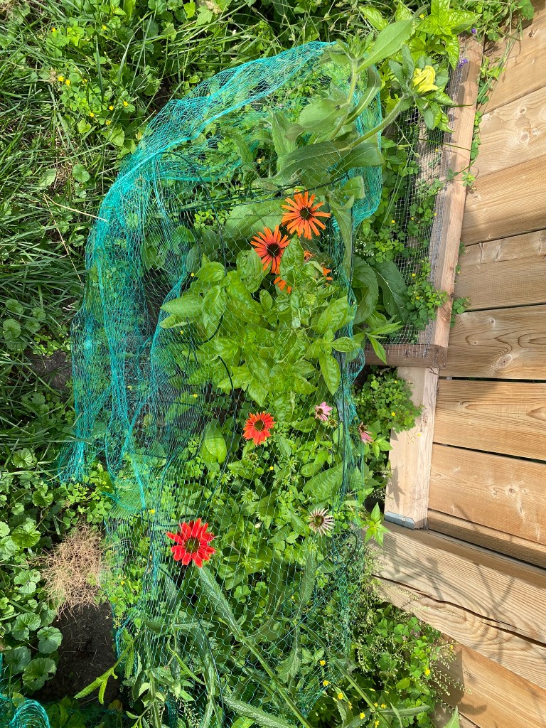 Netting to deter groundhog