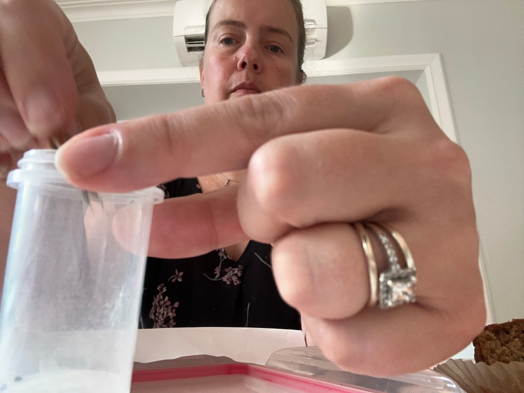 Collecting columbine seeds