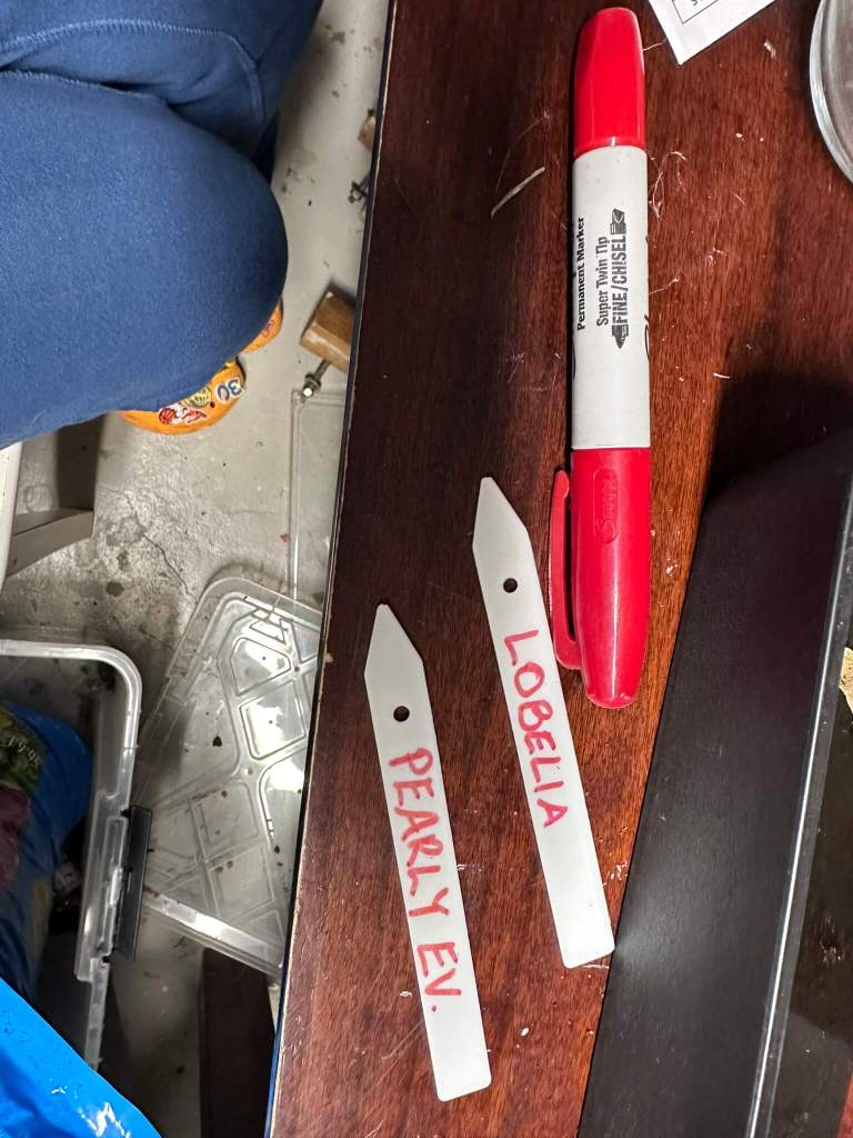 Winter sowing labels