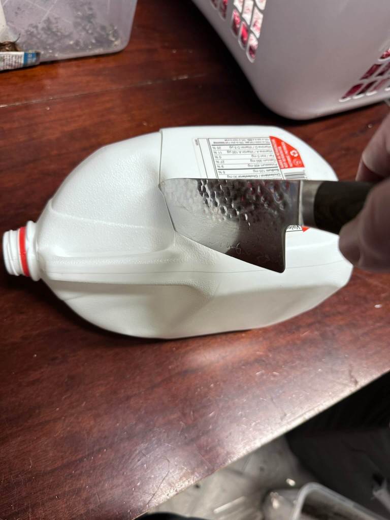 Winter sowing milk jugs