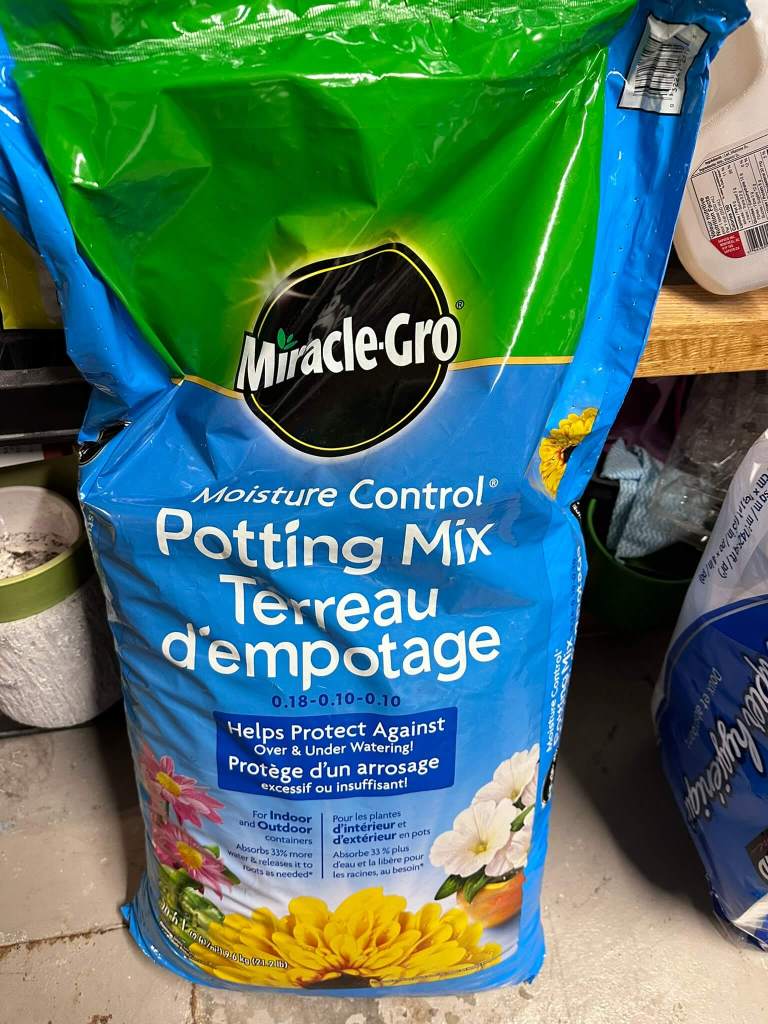 Winter sowing potting soil